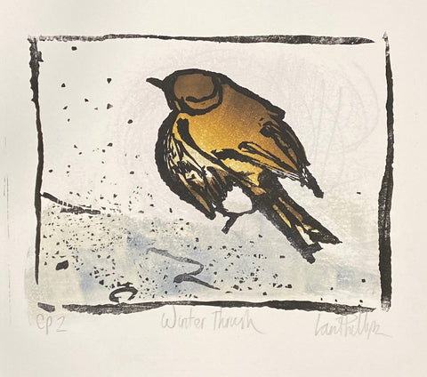 Winter Thrush CP2