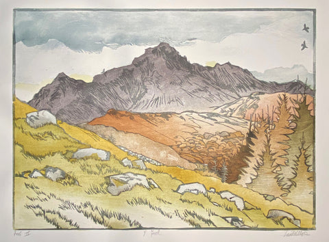 Y Foel Proof IV